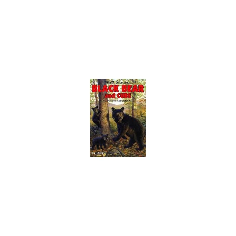 Black Bear and Cubs